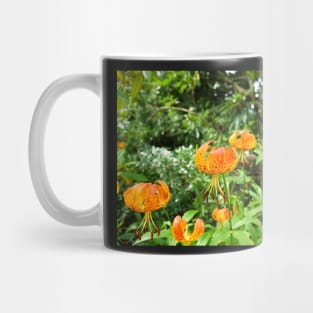 Carolina lily upside down flower Mug